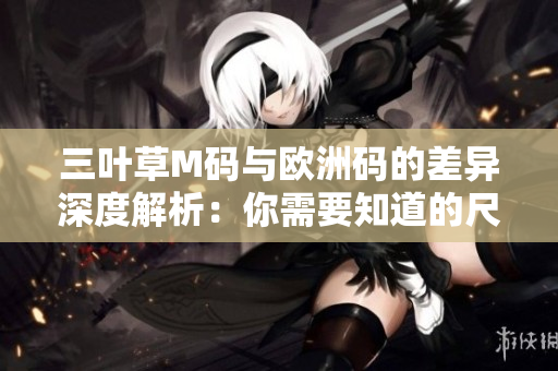 三叶草M码与欧洲码的差异深度解析：你需要知道的尺码区别