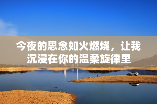 今夜的思念如火燃烧，让我沉浸在你的温柔旋律里