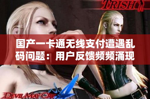 国产一卡通无线支付遭遇乱码问题：用户反馈频频涌现