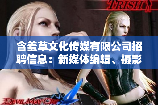 含羞草文化传媒有限公司招聘信息：新媒体编辑、摄影师、营销经理等多岗位空缺