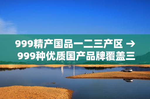 999精产国品一二三产区 → 999种优质国产品牌覆盖三大产业区