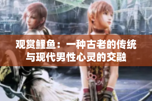 观赏鲤鱼：一种古老的传统与现代男性心灵的交融