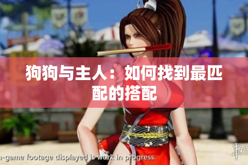 狗狗与主人：如何找到最匹配的搭配