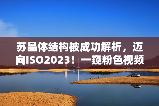 苏晶体结构被成功解析，迈向ISO2023！一窥粉色视频中的奇妙结晶世界