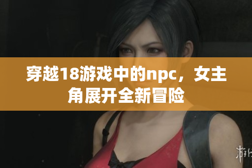 穿越18游戏中的npc，女主角展开全新冒险
