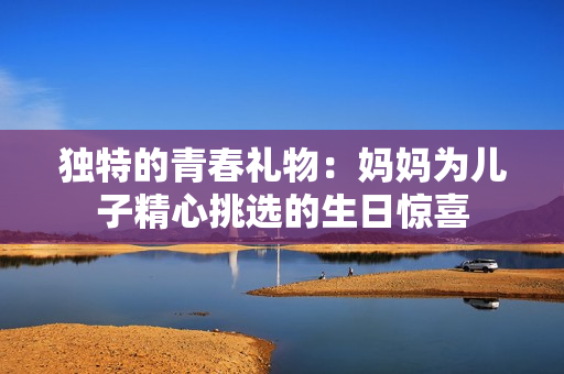 独特的青春礼物：妈妈为儿子精心挑选的生日惊喜