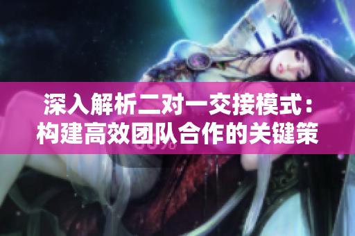 深入解析二对一交接模式：构建高效团队合作的关键策略