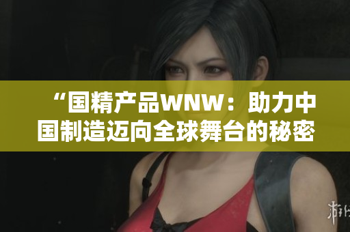 “国精产品WNW：助力中国制造迈向全球舞台的秘密武器”