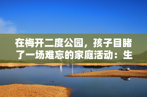 在梅开二度公园，孩子目睹了一场难忘的家庭活动：生活的温暖和欢乐