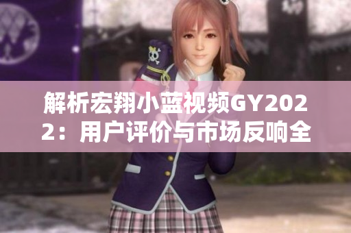 解析宏翔小蓝视频GY2022：用户评价与市场反响全面调查