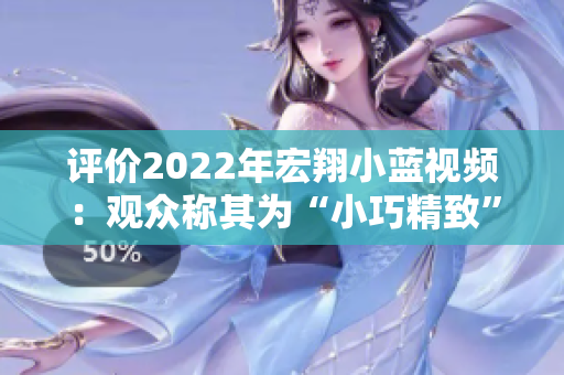 评价2022年宏翔小蓝视频：观众称其为“小巧精致”的良好选择