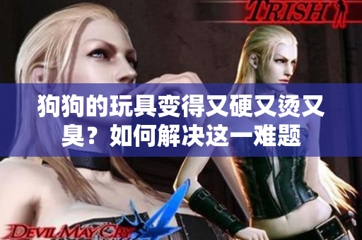 狗狗的玩具变得又硬又烫又臭？如何解决这一难题