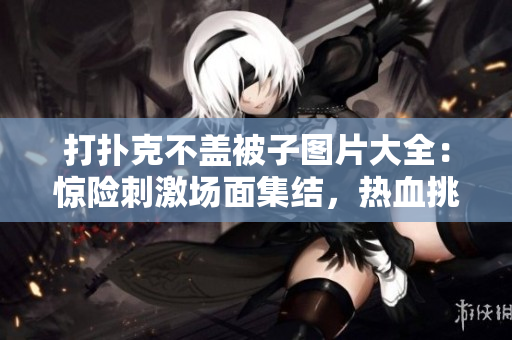 打扑克不盖被子图片大全：惊险刺激场面集结，热血挑战等你体验