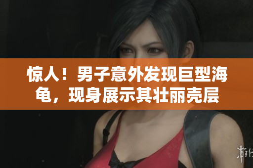 惊人！男子意外发现巨型海龟，现身展示其壮丽壳层