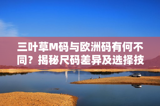 三叶草M码与欧洲码有何不同？揭秘尺码差异及选择技巧