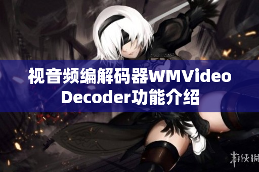 视音频编解码器WMVideoDecoder功能介绍