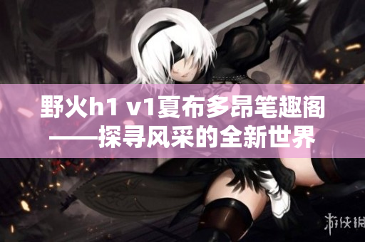 野火h1 v1夏布多昂笔趣阁——探寻风采的全新世界