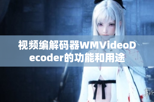 视频编解码器WMVideoDecoder的功能和用途