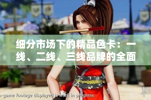 细分市场下的精品色卡：一线、二线、三线品牌的全面比较