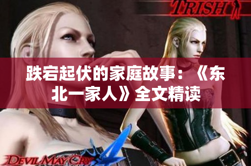 跌宕起伏的家庭故事：《东北一家人》全文精读