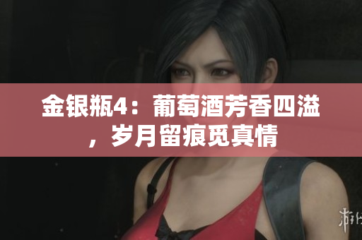 金银瓶4：葡萄酒芳香四溢，岁月留痕觅真情