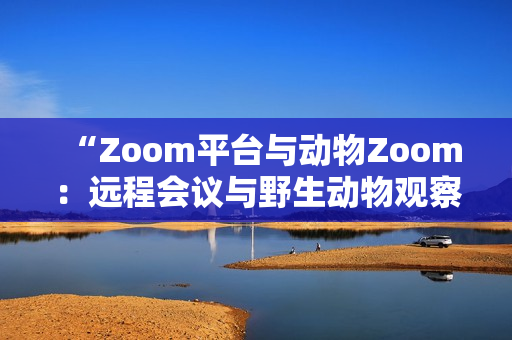 “Zoom平台与动物Zoom：远程会议与野生动物观察的双重体验”