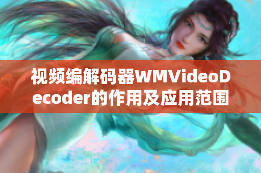 视频编解码器WMVideoDecoder的作用及应用范围