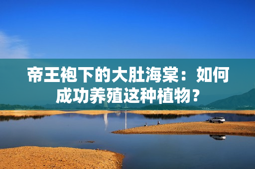 帝王袍下的大肚海棠：如何成功养殖这种植物？