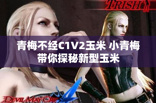青梅不经C1V2玉米 小青梅带你探秘新型玉米