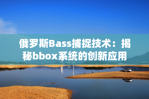 俄罗斯Bass捕捉技术：揭秘bbox系统的创新应用