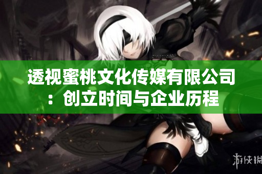 透视蜜桃文化传媒有限公司：创立时间与企业历程