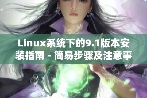 Linux系统下的9.1版本安装指南 - 简易步骤及注意事项