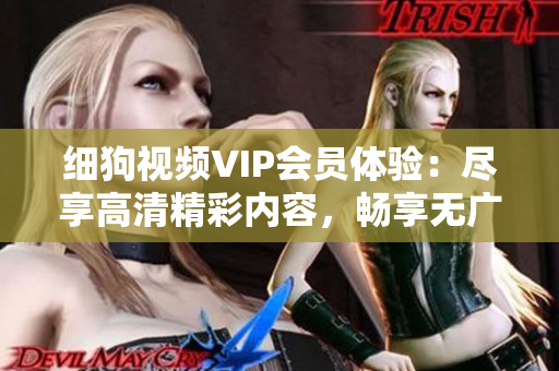 细狗视频VIP会员体验：尽享高清精彩内容，畅享无广告观影乐趣