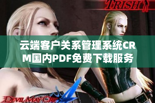 云端客户关系管理系统CRM国内PDF免费下载服务