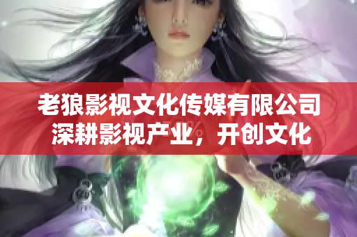 老狼影视文化传媒有限公司 深耕影视产业，开创文化传媒新篇章