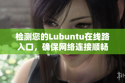 检测您的Lubuntu在线路入口，确保网络连接顺畅