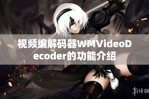 视频编解码器WMVideoDecoder的功能介绍