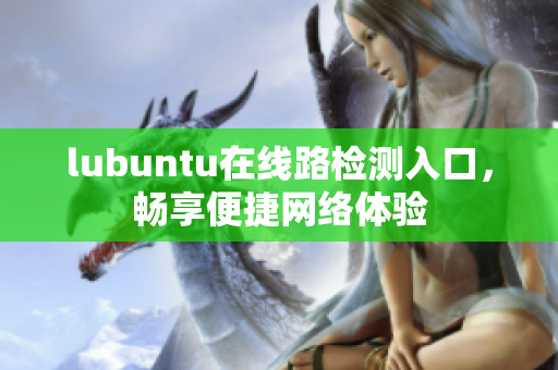 lubuntu在线路检测入口，畅享便捷网络体验