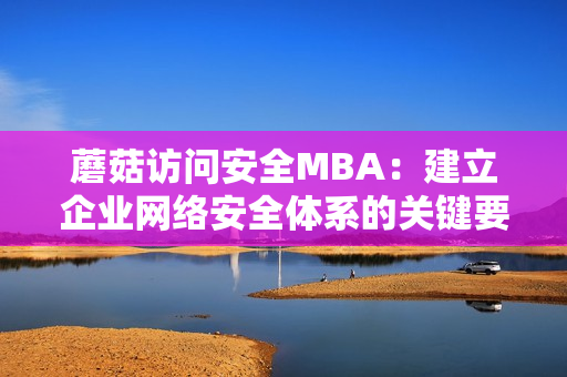 蘑菇访问安全MBA：建立企业网络安全体系的关键要素