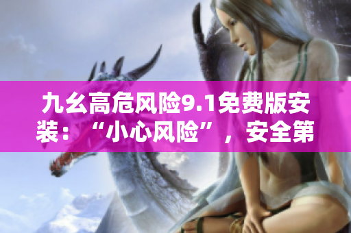 九幺高危风险9.1免费版安装：“小心风险”，安全第一步
