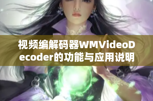 视频编解码器WMVideoDecoder的功能与应用说明