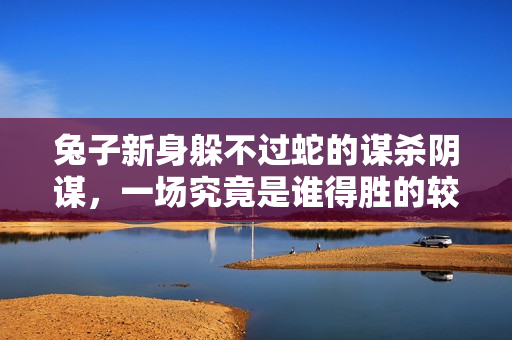 兔子新身躲不过蛇的谋杀阴谋，一场究竟是谁得胜的较量？