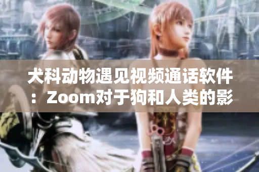 犬科动物遇见视频通话软件：Zoom对于狗和人类的影响