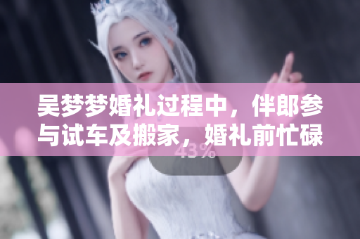 吴梦梦婚礼过程中，伴郎参与试车及搬家，婚礼前忙碌着准备。