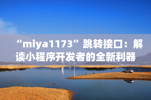“miya1173”跳转接口：解读小程序开发者的全新利器