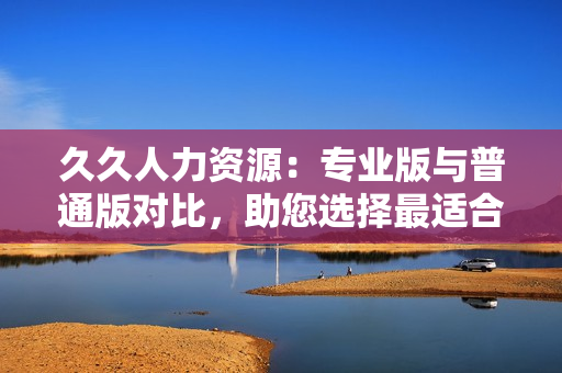 久久人力资源：专业版与普通版对比，助您选择最适合企业的人才管理方案