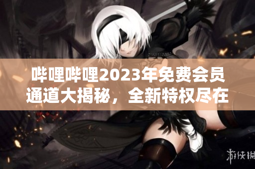 哔哩哔哩2023年免费会员通道大揭秘，全新特权尽在其中