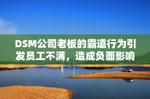 DSM公司老板的霸道行为引发员工不满，造成负面影响