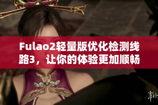 Fulao2轻量版优化检测线路3，让你的体验更加顺畅
