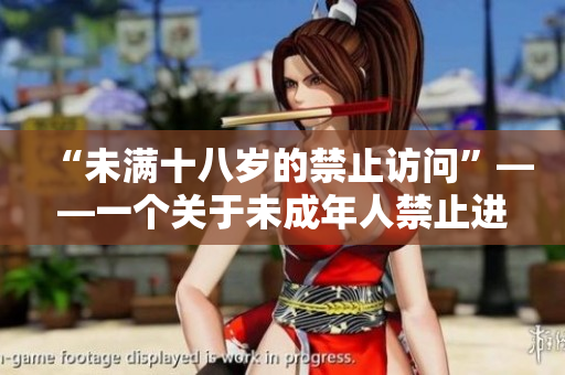 “未满十八岁的禁止访问”——一个关于未成年人禁止进入的藏宝阁